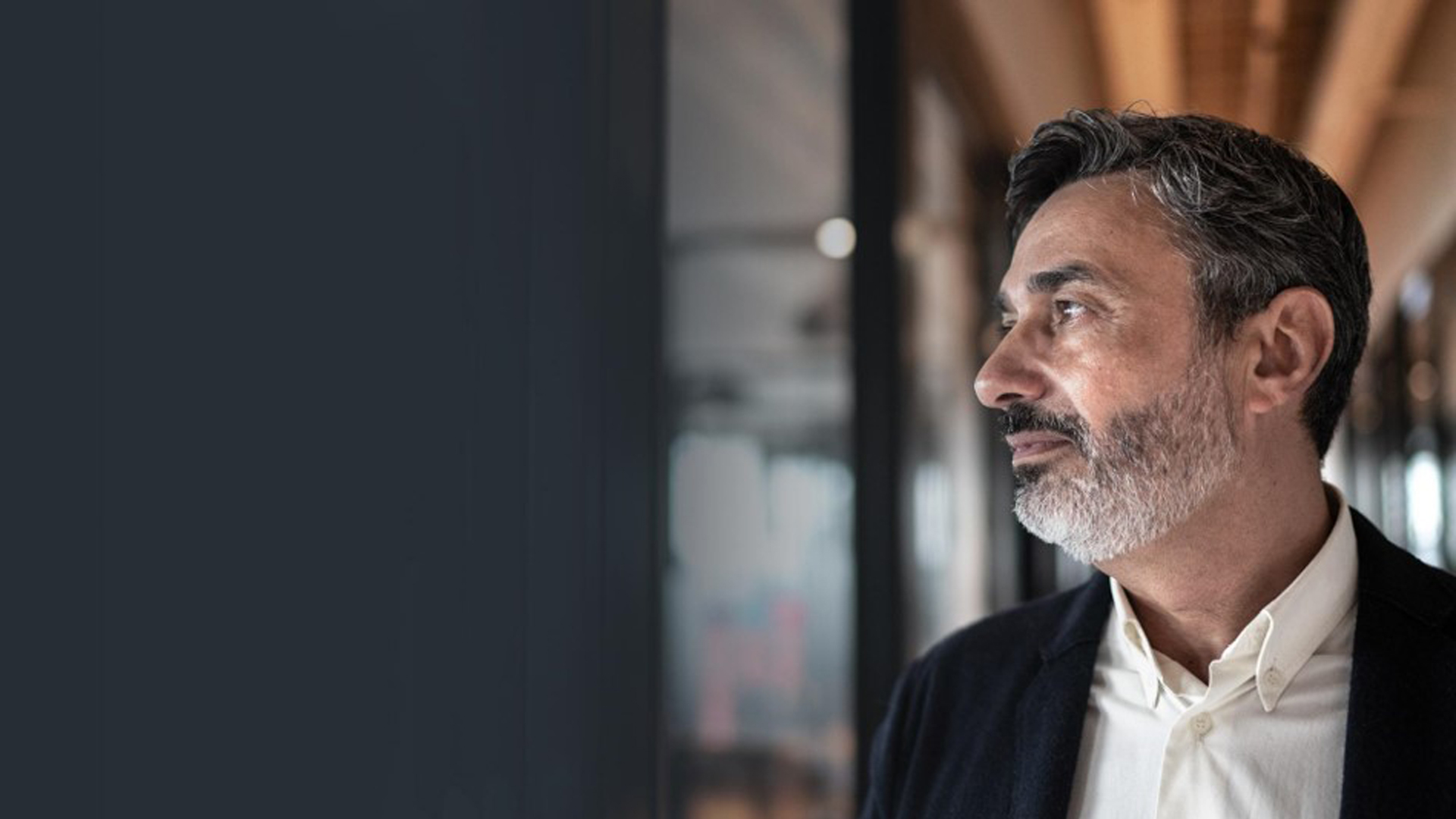 The Professional Director Bundle